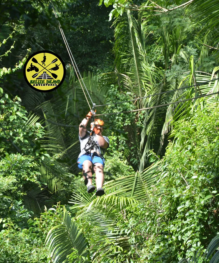 zipline