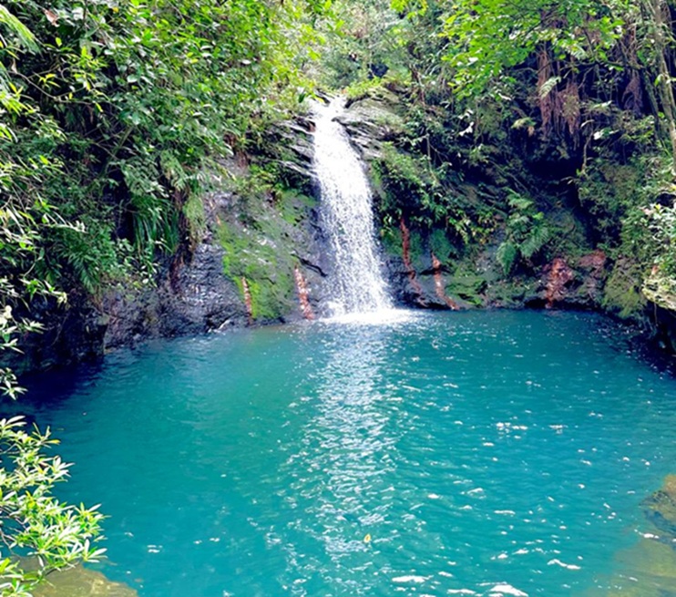 WhatsApp Image 2025 08 20 at 7.11.31 AM 2